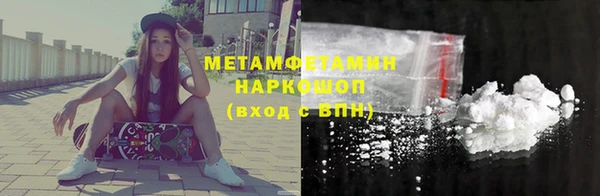 сатива Новокубанск