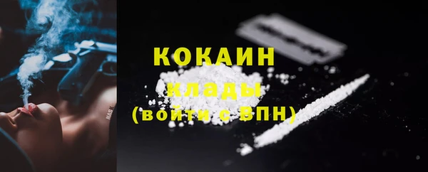 мяу мяу кристалл Гусь-Хрустальный