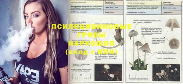 MDMA Premium VHQ Гусиноозёрск