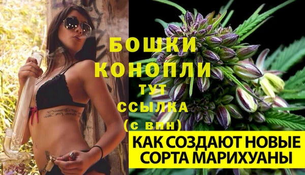 мяу мяу кристалл Гусь-Хрустальный
