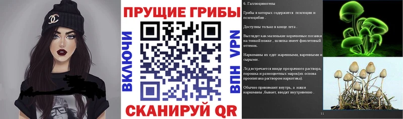 Псилоцибиновые грибы мицелий  Ижевск 